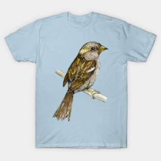 House sparrow colored ink drawing T-Shirt